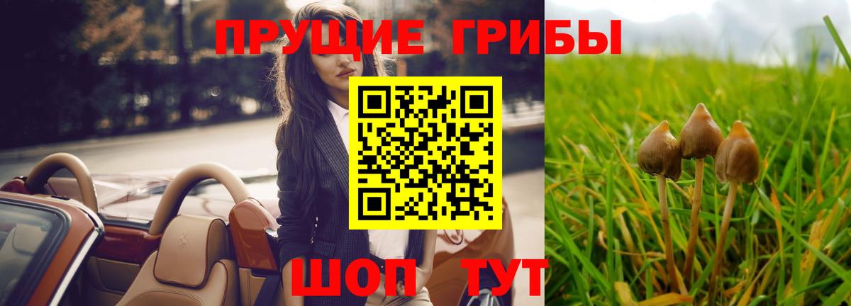 Псилоцибиновые грибы Psilocybine cubensis  хочу наркоту  Ярославль  Вход с VPN 
