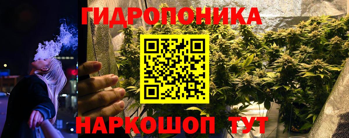Каннабис план Ярославль